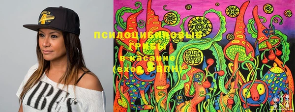 спиды Богородицк
