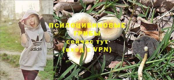 тгк Беломорск