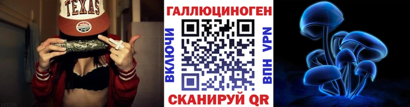 Купить  Аша  Галлюциногенные грибы GOLDEN TEACHER 