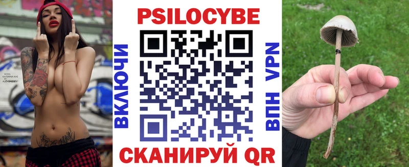 Псилоцибиновые грибы Psilocybine cubensis Аша