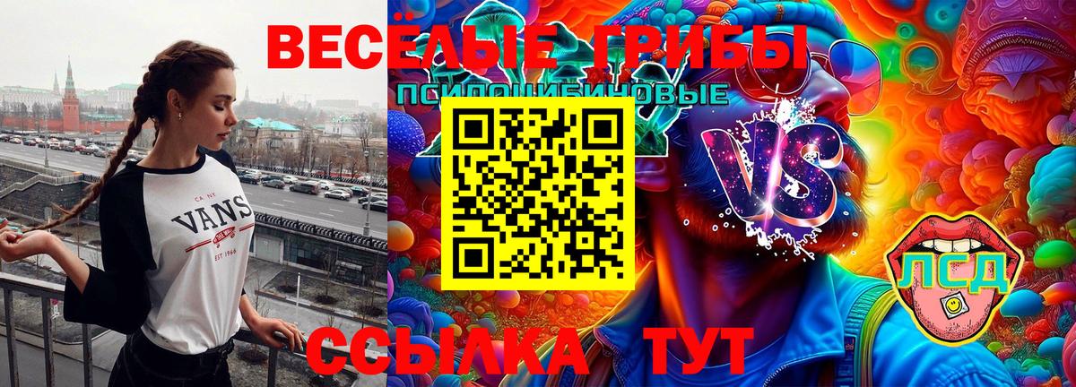 Аша  Псилоцибиновые грибы мицелий  Вход с VPN 