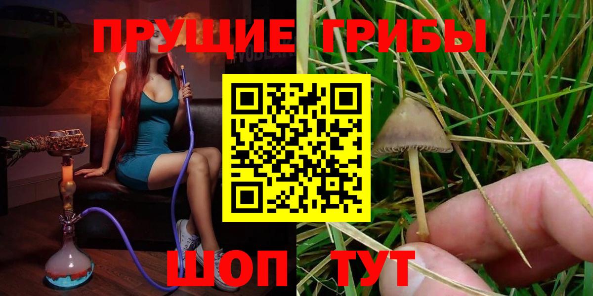 Галлюциногенные грибы прущие грибы  наркотики  Аша 