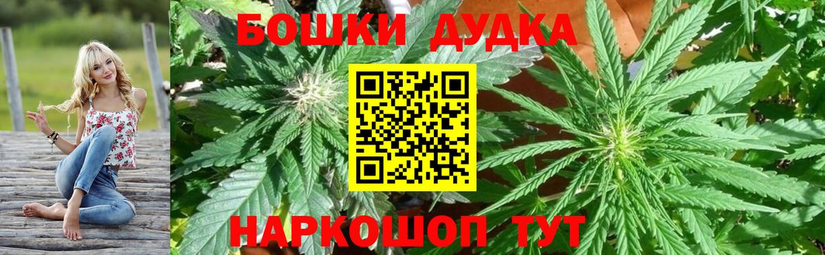 Каннабис сатива Аша